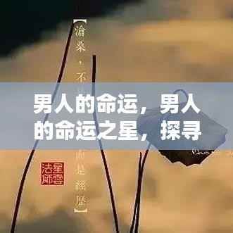 甄繁就简 第5页