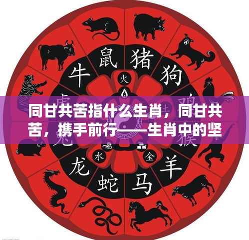 落土飞岩 第5页