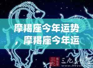摩羯座今年运势展望，稳健前行，收获与成长并存