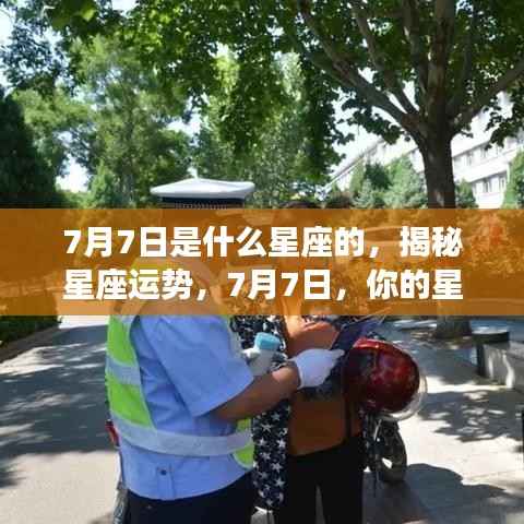 蚕丛鸟道 第5页