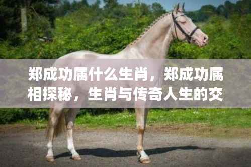 越鸟南栖 第5页