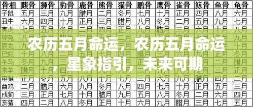 省吃细用 第5页