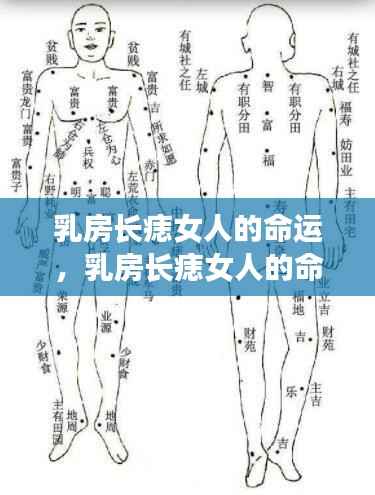 富贵逼人来 第6页