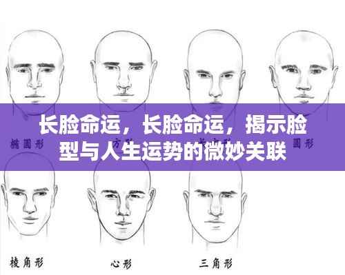 持之以恒 第6页