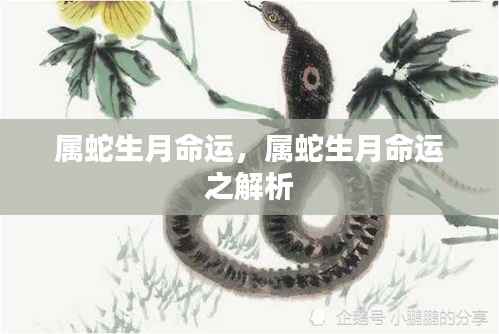 怀真抱素 第5页