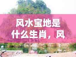 随圆就方 第6页