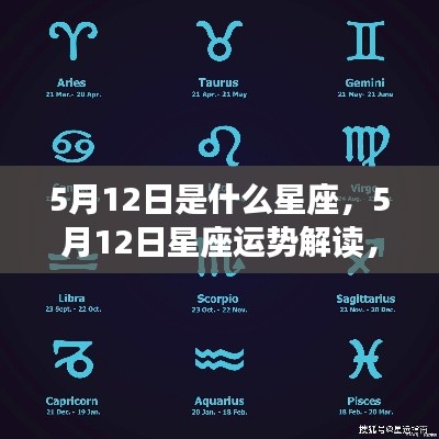 目不转睛 第5页