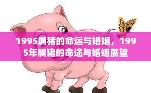 1995年属猪人的命运与婚姻展望