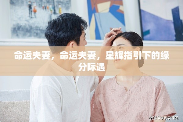 粗枝大叶 第5页