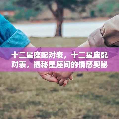 揭秘十二星座配对奥秘，星座情感配对表全解析