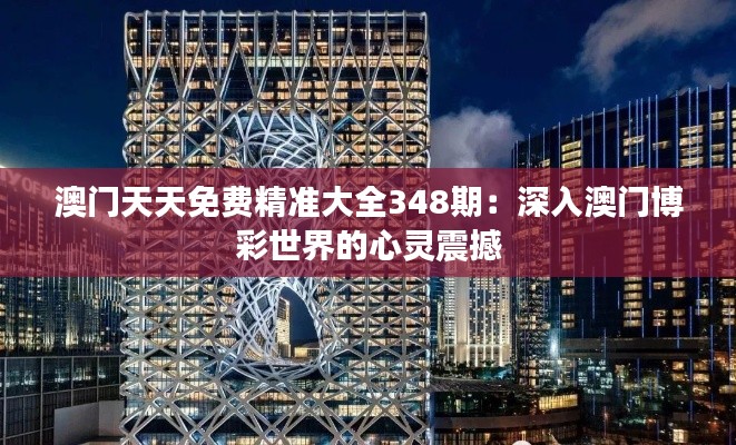 澳门天天免费精准大全348期：深入澳门博彩世界的心灵震撼