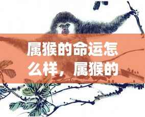 神采奕奕 第4页