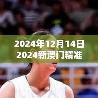 2024年12月14日2024新澳门精准免费大全：澳门的音乐节与演唱会信息汇