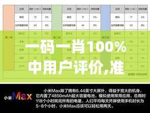 一码一肖100%中用户评价,准确资料解释定义_入门版8.650