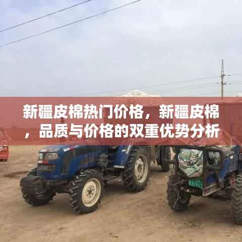 神清气朗 第5页