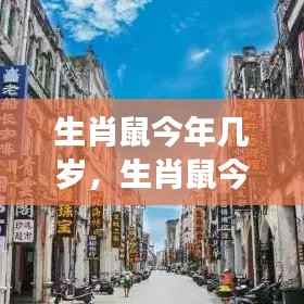 生肖鼠的成长运势解析与年龄解析，成长与运势同步前行，今年生肖鼠多大？