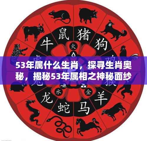 张弛不定 第5页