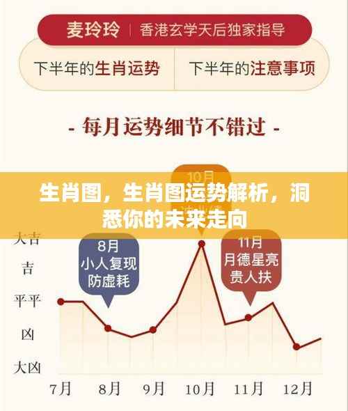 生肖图运势解析，洞悉未来走向，掌握命运之舵