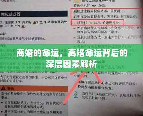 束手就擒 第5页