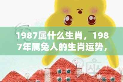 雍容华贵 第3页