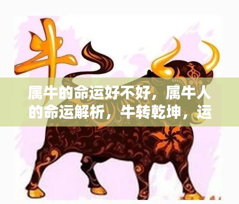 五侯七贵 第4页