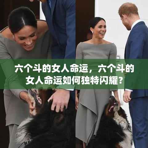 两袖清风 第4页