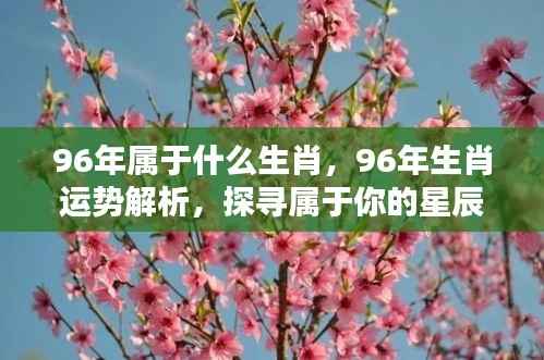 专心致志 第5页