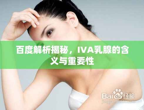 百度解析揭秘，IVA乳腺的含义与重要性