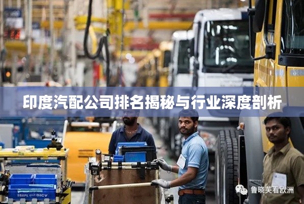 自作主张 第4页