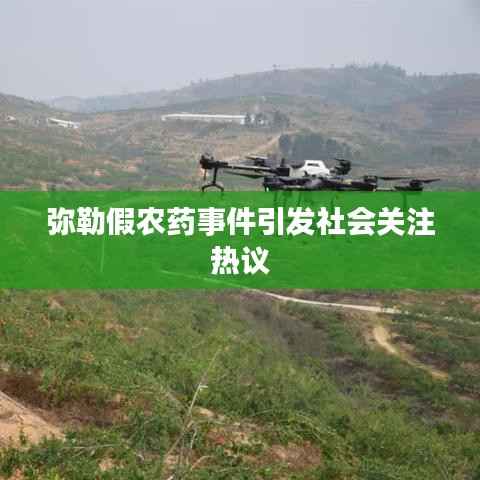 物离乡贵 第3页