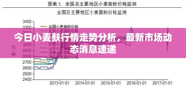 炊粱跨卫 第4页