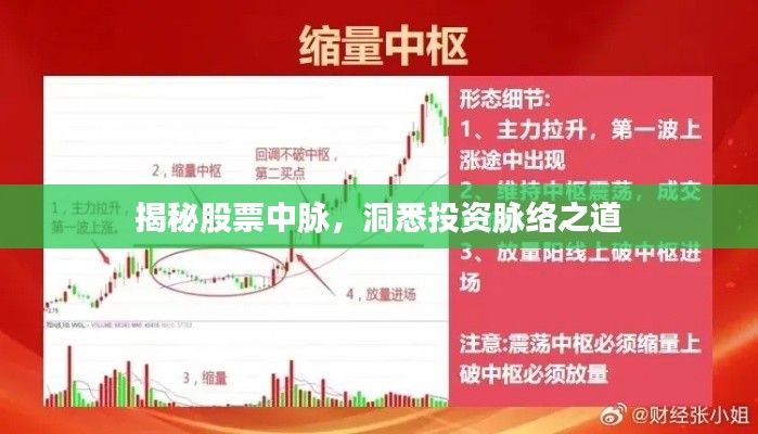 落落大方 第4页