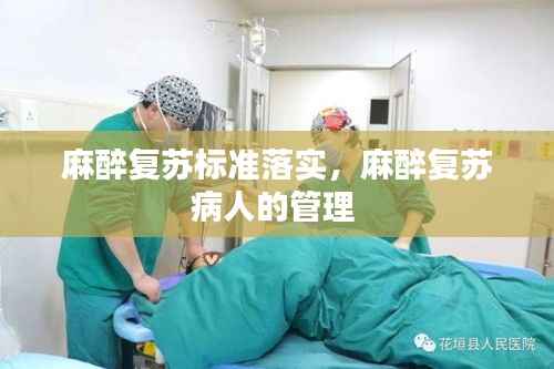 草创未就 第3页