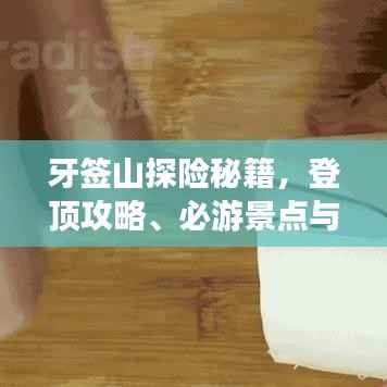 雍容典雅 第3页