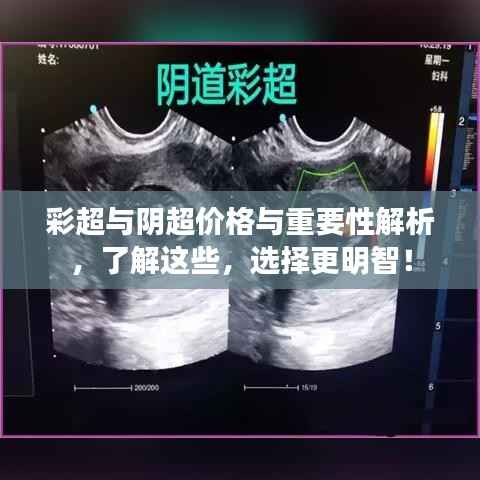 布衣蔬食 第3页