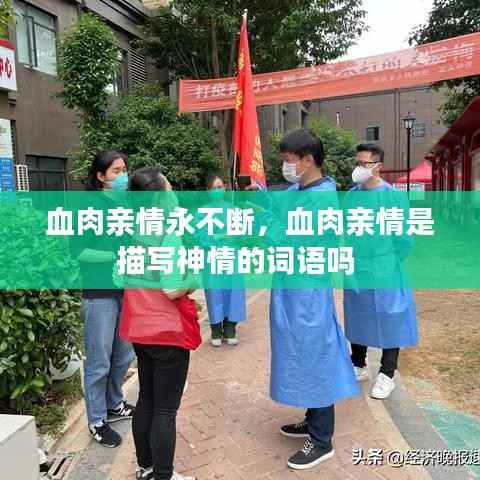 血肉亲情永不断，血肉亲情是描写神情的词语吗 