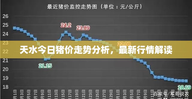 天水今日猪价走势分析，最新行情解读