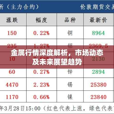 金属行情深度解析，市场动态及未来展望趋势