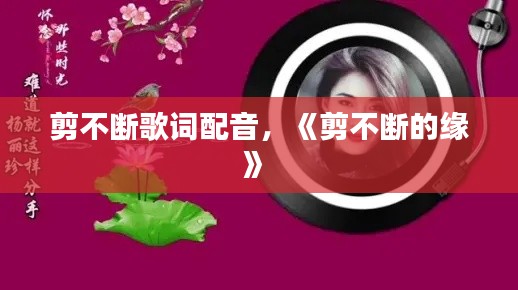 剪不断歌词配音，《剪不断的缘》 