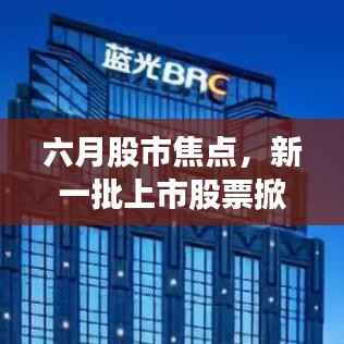 就地取材 第3页