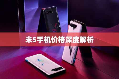 荆钗布裙 第3页