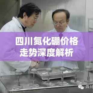 四川氮化硼价格走势深度解析