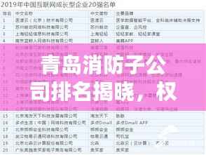 青岛消防子公司排名揭晓，权威榜单，引领安全先锋！
