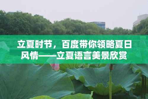 立夏时节，百度带你领略夏日风情——立夏语言美景欣赏